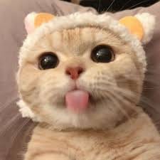 Simon Marcos profile picture